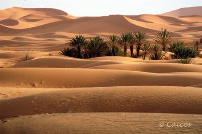 Desert Excursions Morocco 